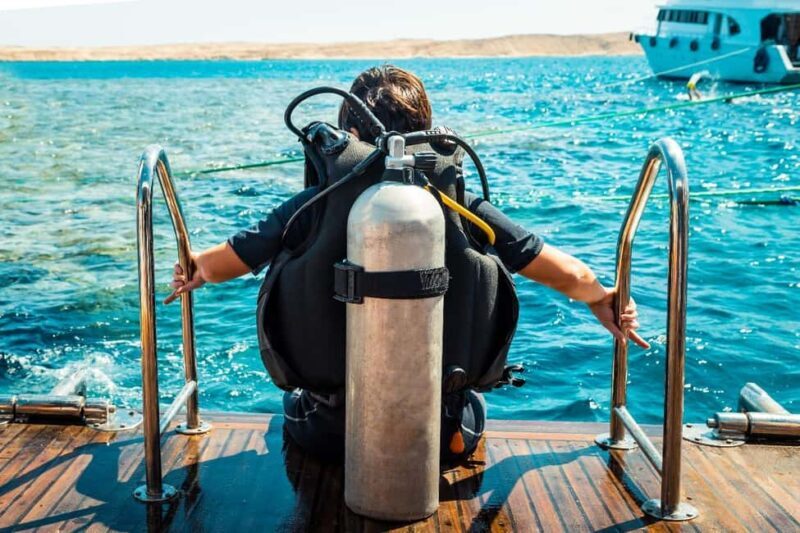 From Sharm: Luxury Diving cruise to Ras Mohammed with Lunch - A Clear Picture of the Tour Experience