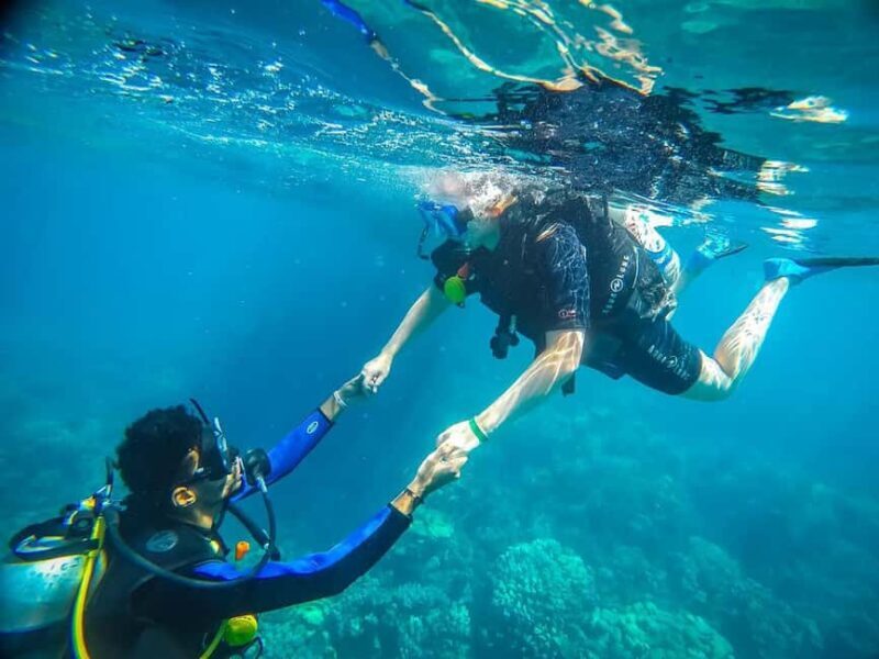 From Sharm: Luxury Diving cruise to Ras Mohammed with Lunch - The Experience in Practice