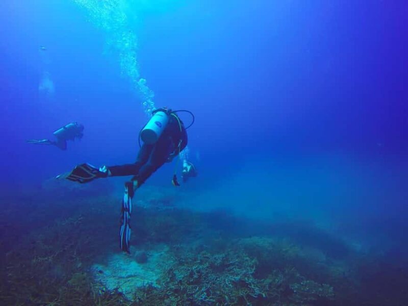From Sharm: Luxury Diving cruise to Ras Mohammed with Lunch - Frequently Asked Questions