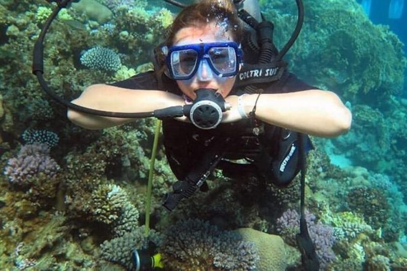 From Sharm or Dahab: Blue Hole & Canyon Sea Dive Experience - An In-Depth Look at the Experience