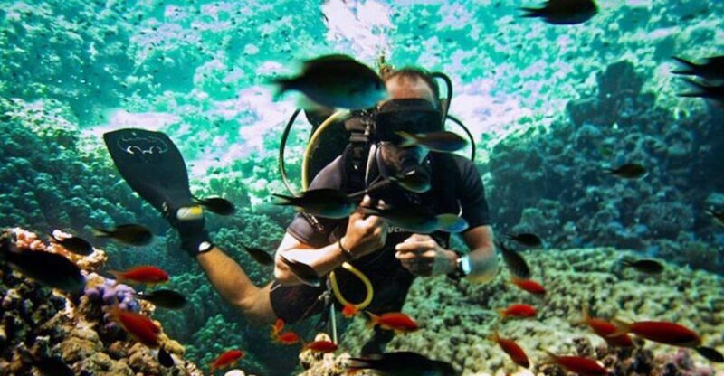 From Sharm or Dahab: Blue Hole & Canyon Sea Dive Experience - What Makes This Tour Stand Out?