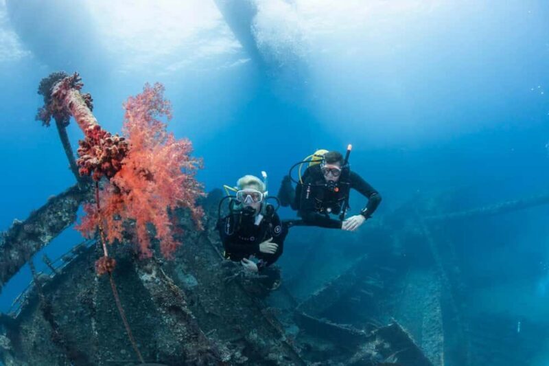 From Sharm or Dahab: Blue Hole & Canyon Sea Dive Experience - Final Thoughts on the Blue Hole & Canyon Sea Experience