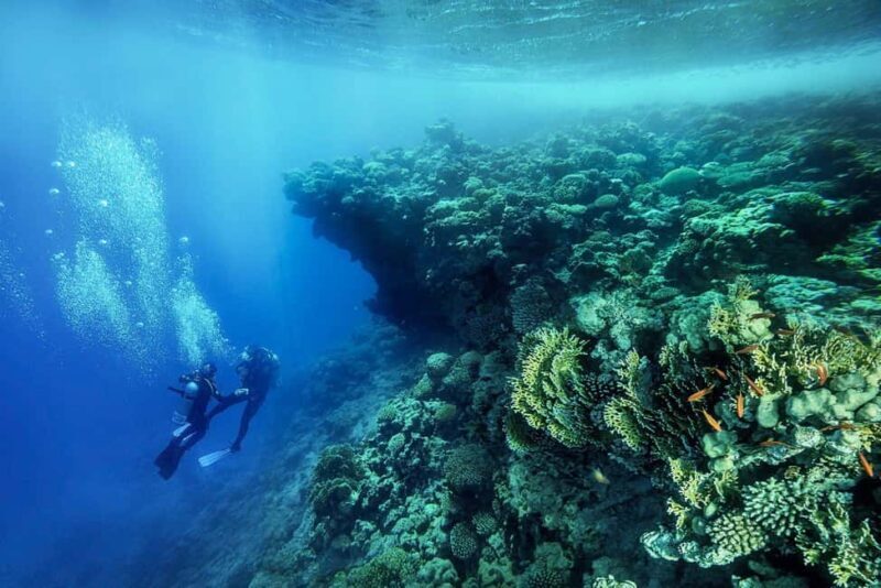From Sharm or Dahab: Blue Hole & Canyon Sea Dive Experience - Frequently Asked Questions