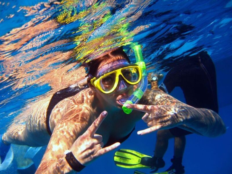 From Sharm: Ras Mohammed snorkeling cruise & optional diving - Key Points