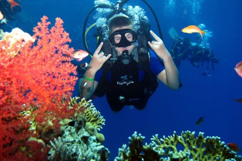 From Sharm: Ras Mohammed snorkeling cruise & optional diving - Duration, Logistics, and Cost