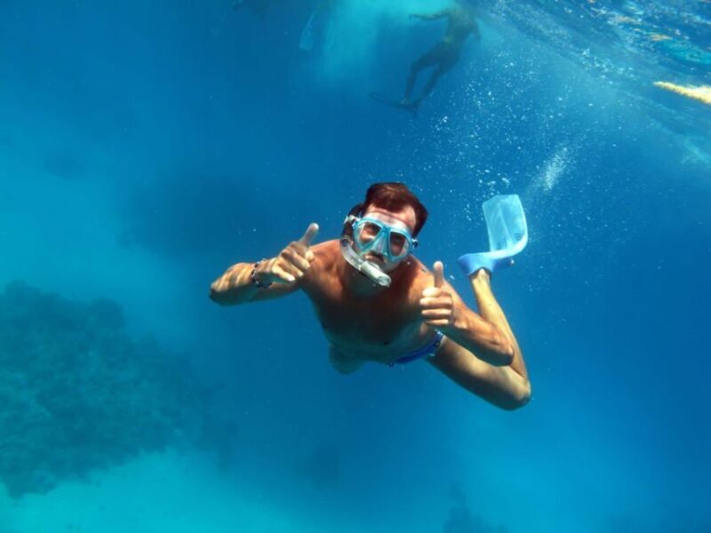 From Sharm: Ras Mohammed snorkeling cruise & optional diving - Who Will Love This Experience?