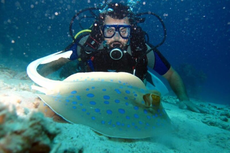 From Sharm: Ras Mohammed snorkeling cruise & optional diving - Final Thoughts: Is It Worth It?