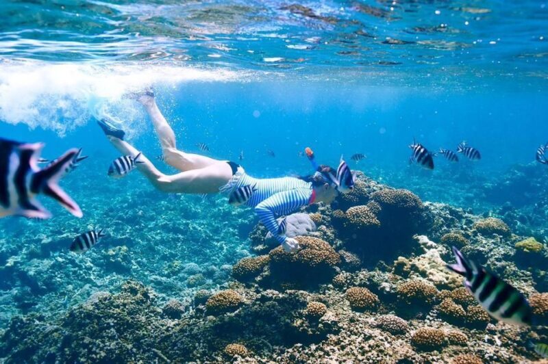 From Sharm: Ras Mohammed snorkeling cruise & optional diving - FAQ