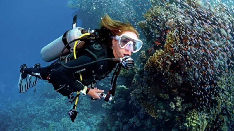 From Sharm: Ras Muhammed & White Island By Boat & intro Dive - Diving and Snorkeling: What You Need to Know