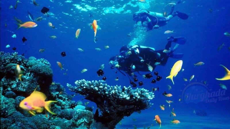 From Sharm: Ras Muhammed & White Island By Boat & intro Dive - The Experience: Who Will Love It?