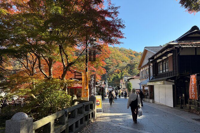 From Shinjuku:Mt.Takao Hike,Temple & Onsen with Samurai Guide Sho - Final Thoughts