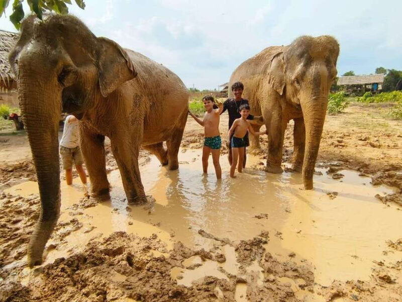 From Siem Reap: Elephant Sanctuary Experience with Transfers - Key Points
