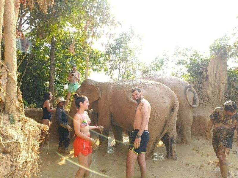 From Siem Reap: Elephant Sanctuary Experience with Transfers - The Journey from Siem Reap