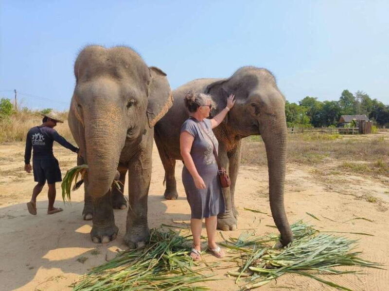 From Siem Reap: Elephant Sanctuary Experience with Transfers - Learning and Supporting