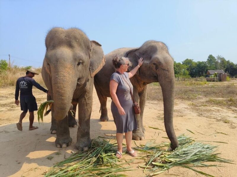 From Siem Reap: Elephant Sanctuary Experience with Transfers - Practical Details and Value