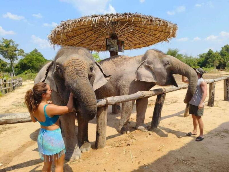 From Siem Reap: Elephant Sanctuary Experience with Transfers - Who Will Love This Tour?