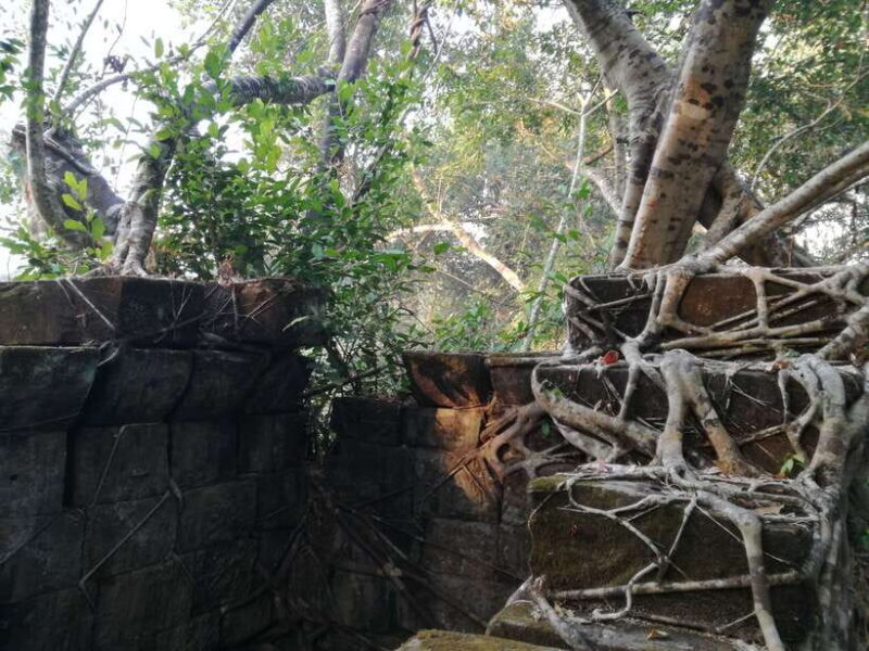 From Siem Reap: Half-Day Tour to Beng Mealea Temple - The Ruins: An Overgrown Wonderland
