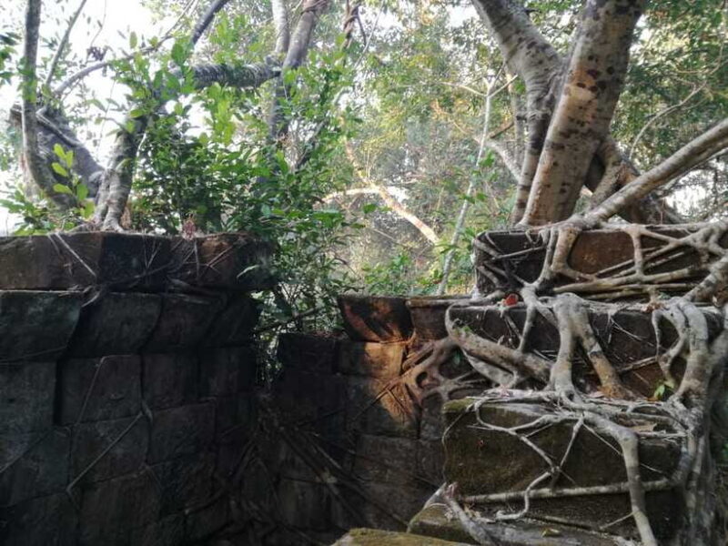 From Siem Reap: Half-Day Tour to Beng Mealea Temple - The Sum Up