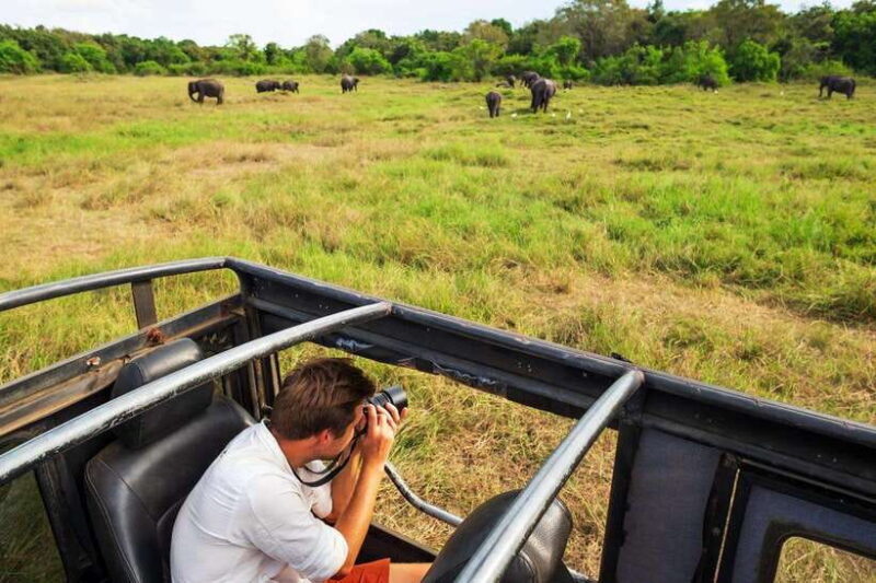 From Sigiriya: 6-Day Sri Lanka Tour with Yala Safari - Exploring the 6-Day Sigiriya to Yala Safari Tour: An Authentic Sri Lankan Adventure