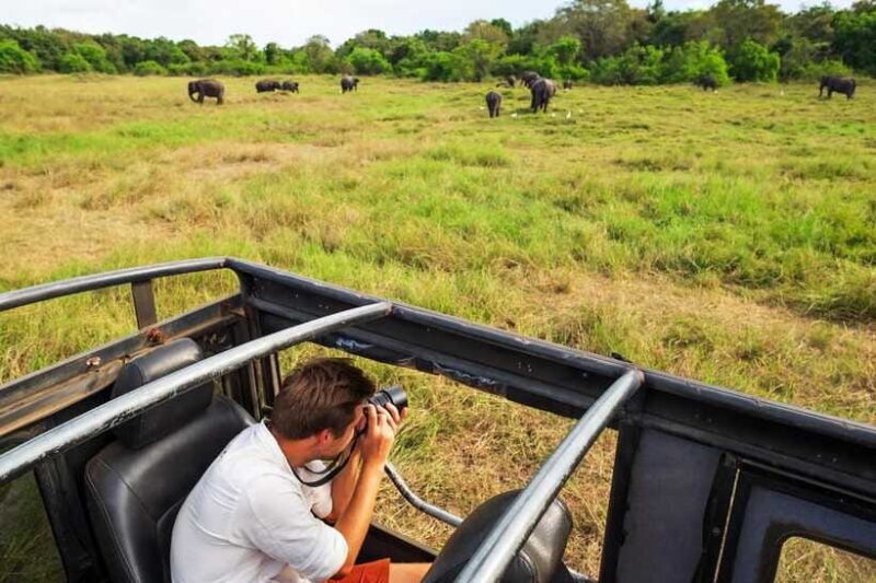 From Sigiriya: 6-Day Sri Lanka Tour with Yala Safari - Who Will Love This Tour?