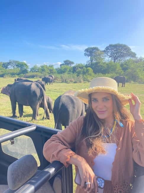 From Sigiriya: Minneriya National Park Private Jeep Safari - An Authentic Wildlife Encounter in Sri Lanka