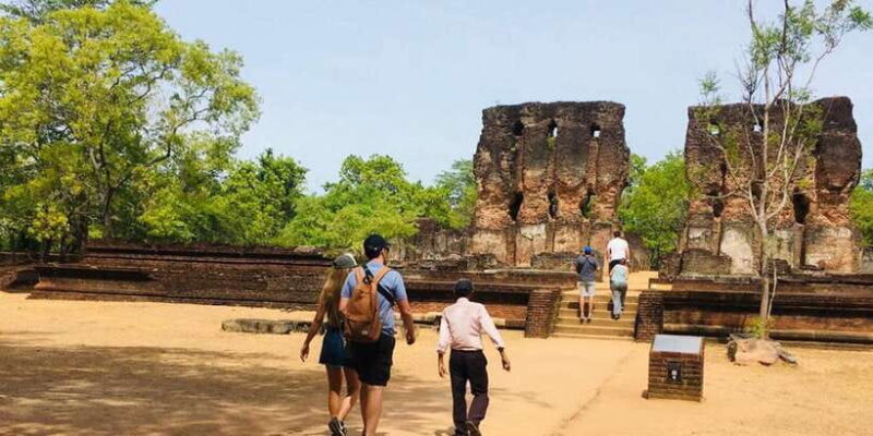 From Sigiriya: Polonnaruwa Ancient City & Minneriya Safari - Minneriya National Park Safari: Elephants in Action