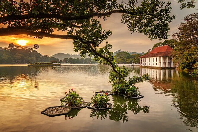 From Sigiriya to Kandy Transfer by Private Comfortable Car - Key Points