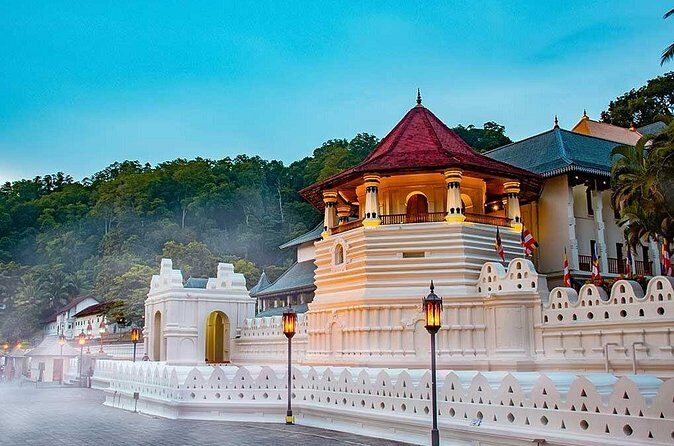 From Sigiriya to Kandy Transfer by Private Comfortable Car - The Drivers: Your Key to a Good Experience