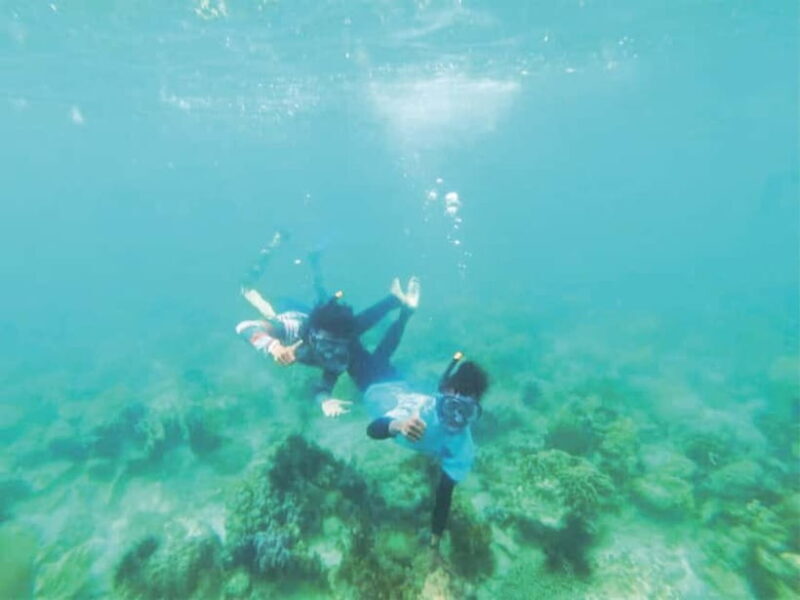 From Singapore : Private Batam Island Snorkeling and Canoe - What Makes This Tour Stand Out
