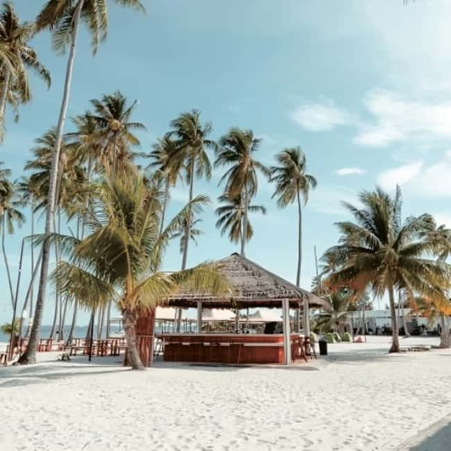 From Singapore : Private Batam Island Snorkeling and Canoe - Final Thoughts: Is This Tour Worth It?