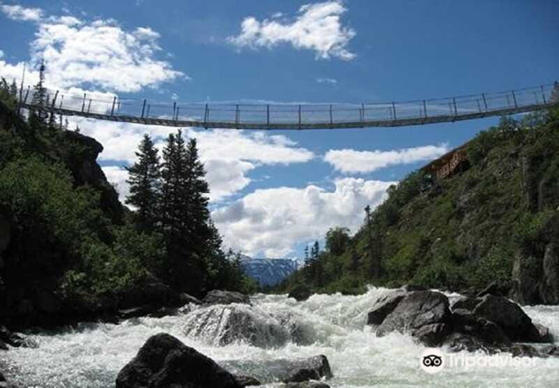 From Skagway: White Pass and Yukon Suspension Bridge Tour - Wildlife and Nature Watching