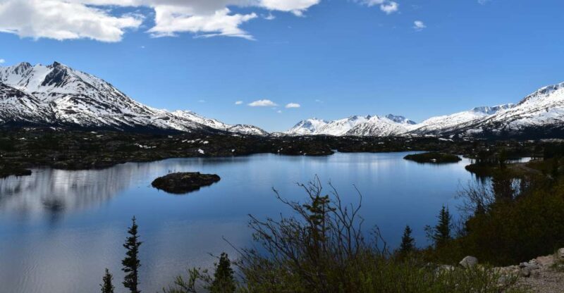 From Skagway: White Pass Summit Guided Bus Tour - An In-Depth Look at the Tour