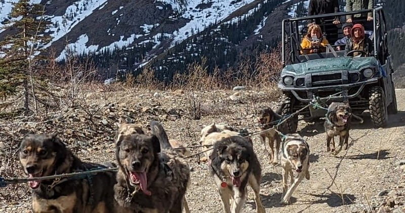 From Skagway: Yukon Sled Dog Mushing & White Pass Combo - Key Points