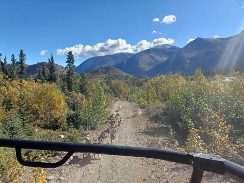 From Skagway: Yukon Sled Dog Mushing & White Pass Combo - The Sum Up