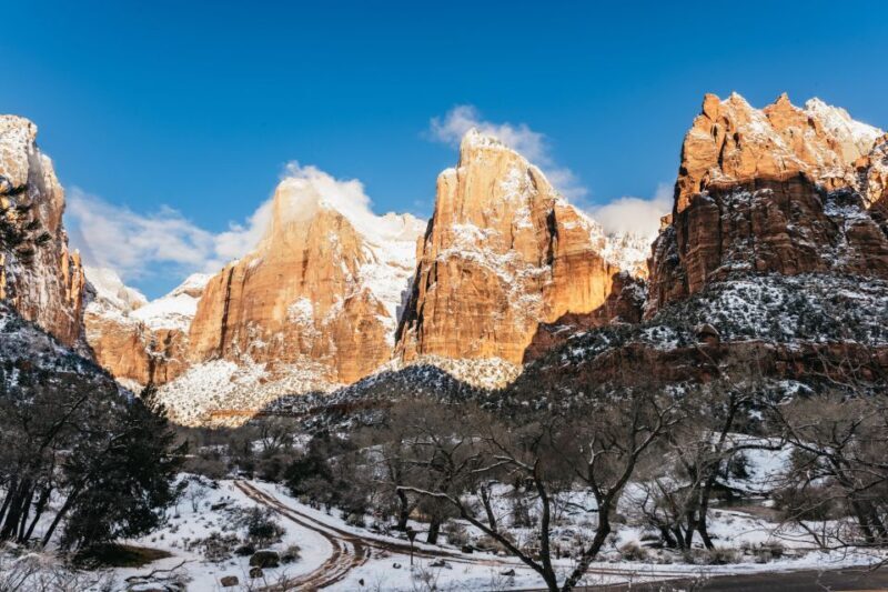 From Springdale: 4-hour Zion Canyon Scenic Hiking Tour - What to Expect on Your Zion Canyon Guided Hike