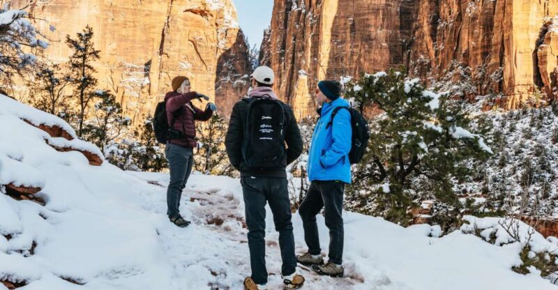 From Springdale: 4-hour Zion Canyon Scenic Hiking Tour - What Travelers Are Saying