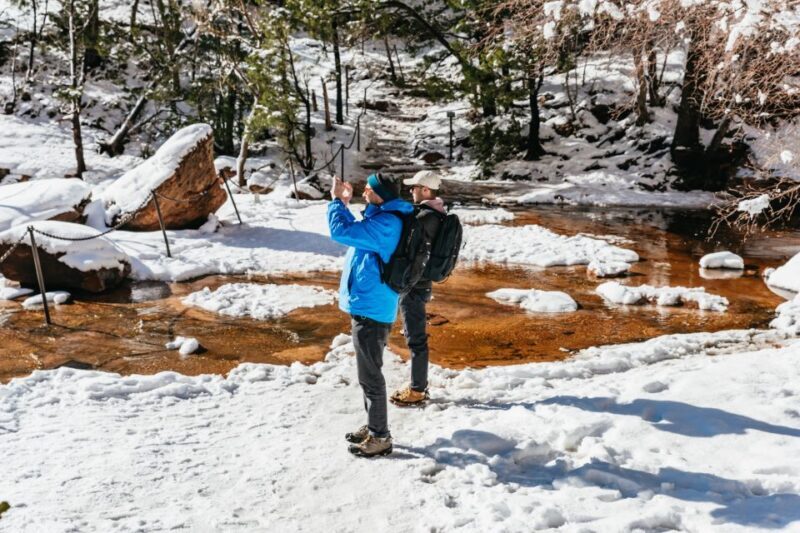 From Springdale: 4-hour Zion Canyon Scenic Hiking Tour - The Experience in Detail: A Day in Zion