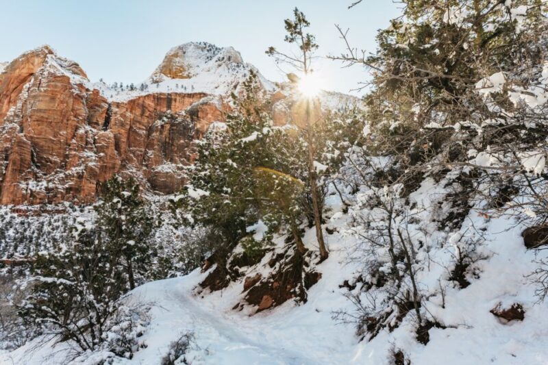 From Springdale: 4-hour Zion Canyon Scenic Hiking Tour - Analyzing the Value