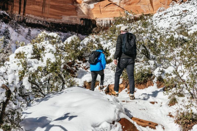 From Springdale: 4-hour Zion Canyon Scenic Hiking Tour - Who Will Love This Tour?