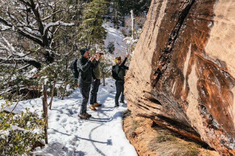 From Springdale: 4-hour Zion Canyon Scenic Hiking Tour - The Sum Up