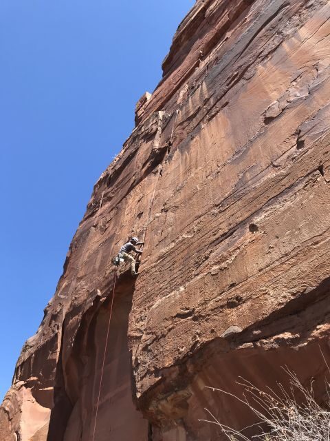 From Springdale: Half-Day Rock Climbing Experience - In The Sum Up
