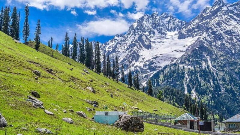 From Srinagar Full Day Trip of Yousmarg - Who Should Consider This Tour?