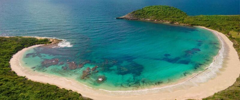 From St John's: Half Moon Bay Beach Half-Day Trip by Van - A Closer Look at the Experience