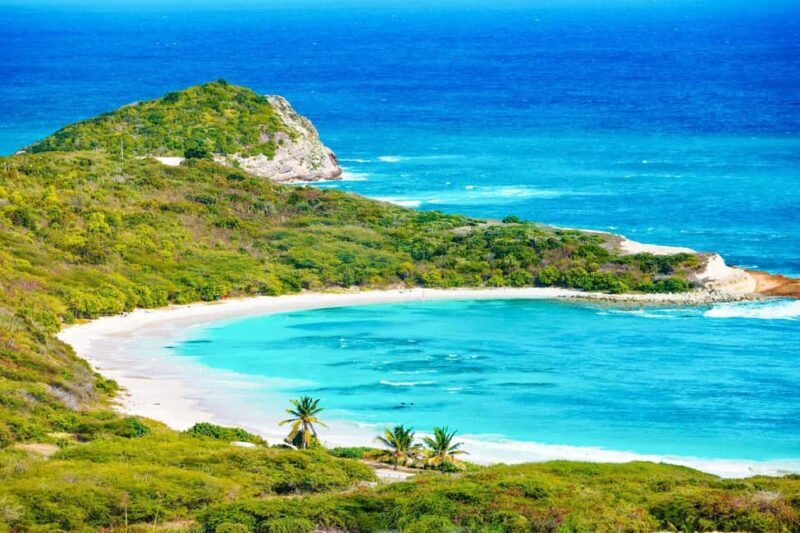 From St John's: Half Moon Bay Beach Half-Day Trip by Van - Authenticity and Value