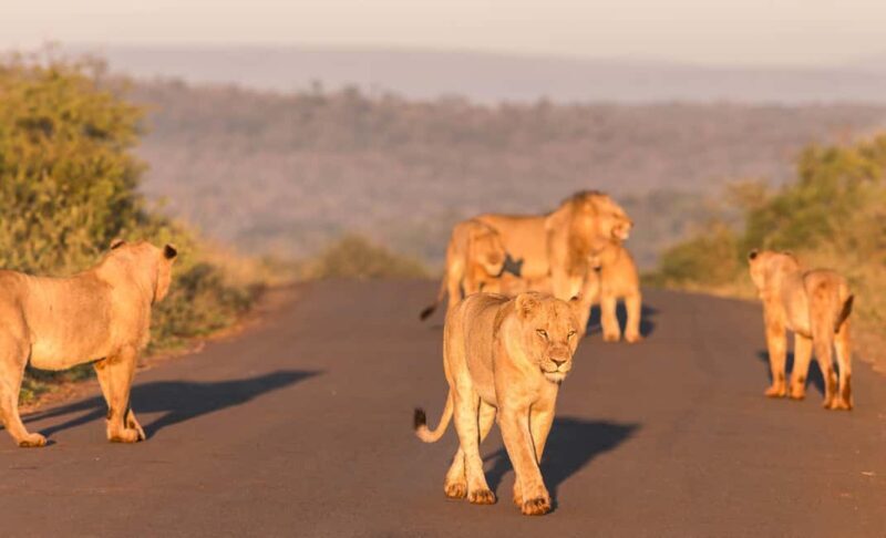 From St Lucia: 3 Day 2 Night Hluhluwe,St Lucia, iSimangaliso - An Honest Look at the Itinerary