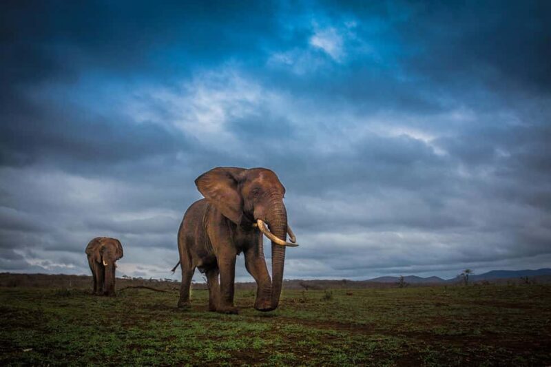 From St Lucia: 3 Day 2 Night Hluhluwe,St Lucia, iSimangaliso - Who This Tour is Best For