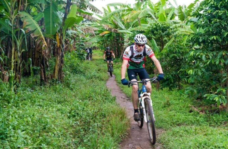 From Stone town: Bicycle Spice Tour with Swahili Lunch - From Stone Town: Bicycle Spice Tour with Swahili Lunch – A Detailed Look