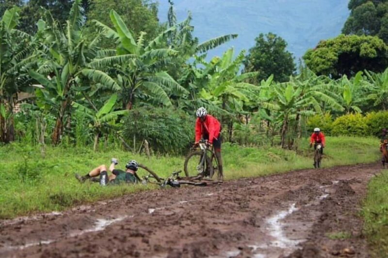 From Stone town: Bicycle Spice Tour with Swahili Lunch - Key Points