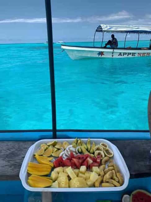 From Stone Town: Mnemba Dolphins & Snorkeling with Lunch - Final Thoughts
