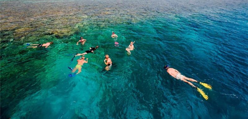 From Stone Town: Mnemba Snorkeling & Dolphins Experience - Wildlife Encounters: Dolphins in the Wild